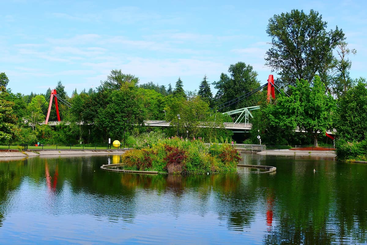 The pond in Alton Baker Park