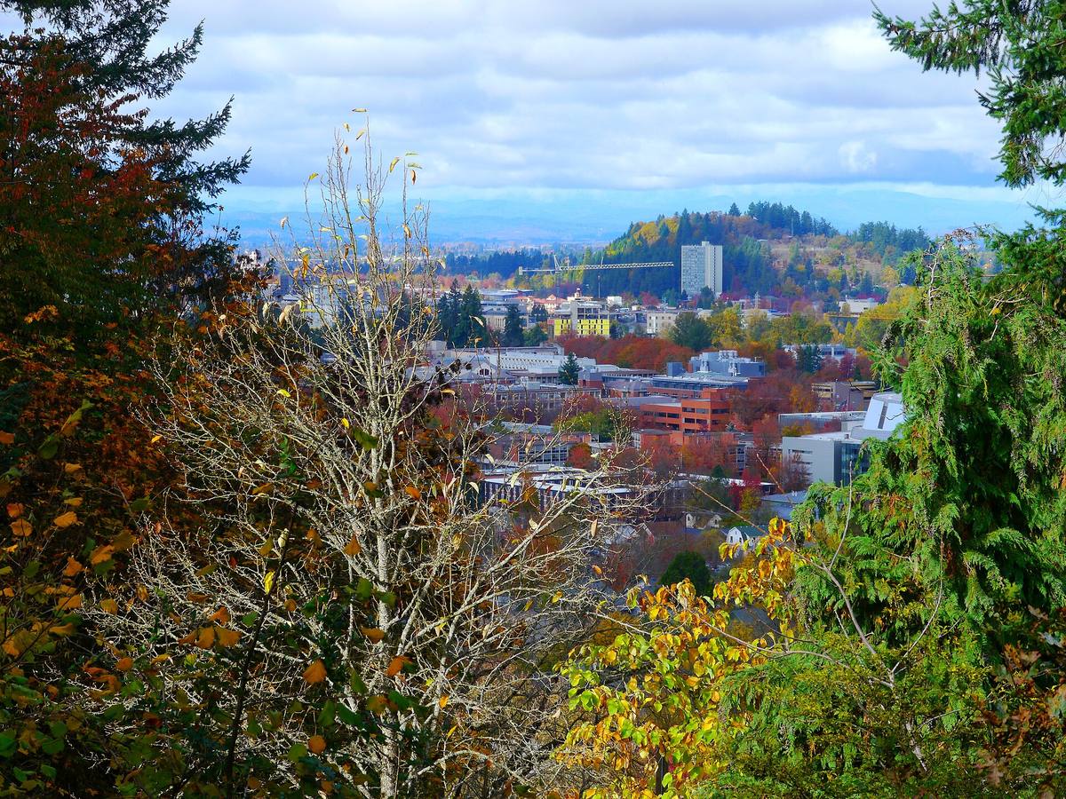 Downtown Eugene and Skinner Butte from Hendricks Park