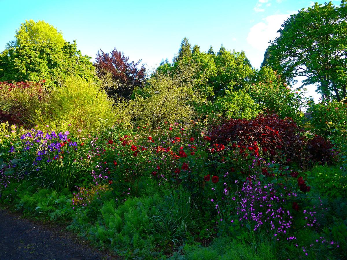 Flower beds in the Owen Memorial Rose Garden