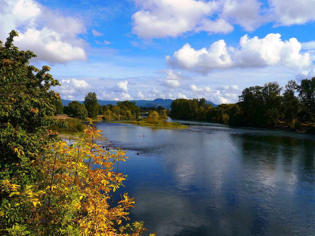 The Willamette River in Eugene